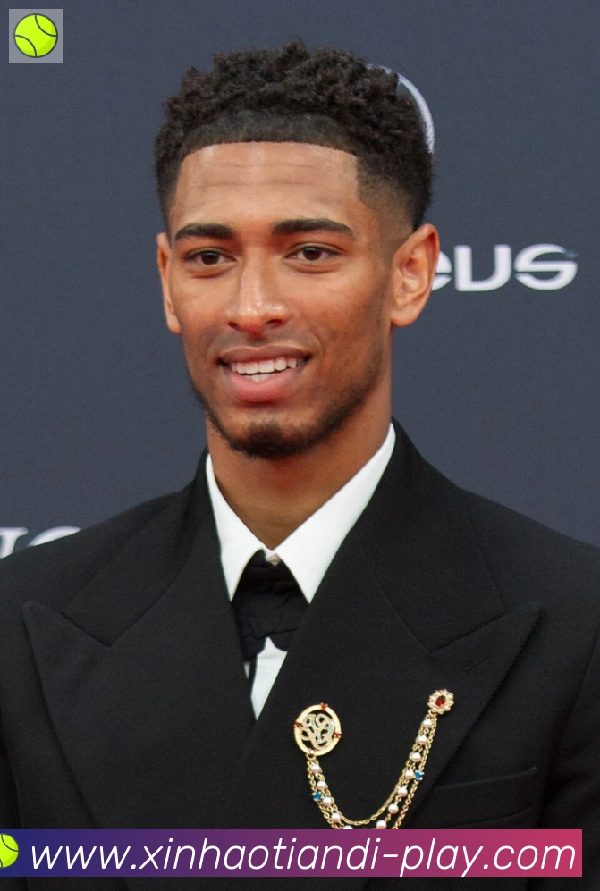 维尼修斯